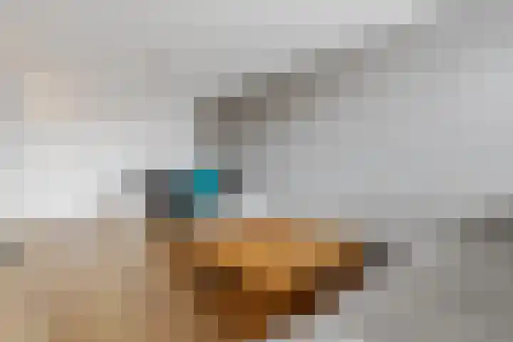 Phohistraat 44 Huizen thumbnail 7