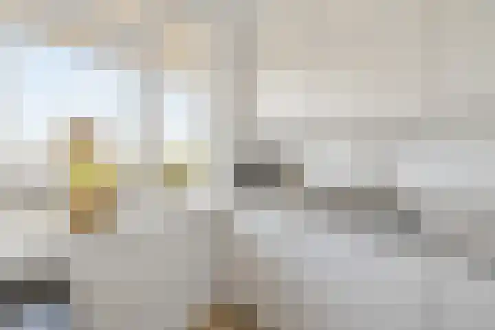 Phohistraat 78 Huizen thumbnail 12