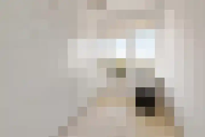 Phohistraat 78 Huizen thumbnail 17