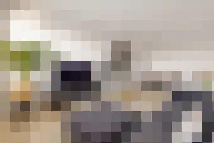 Phohistraat 78 Huizen thumbnail 5