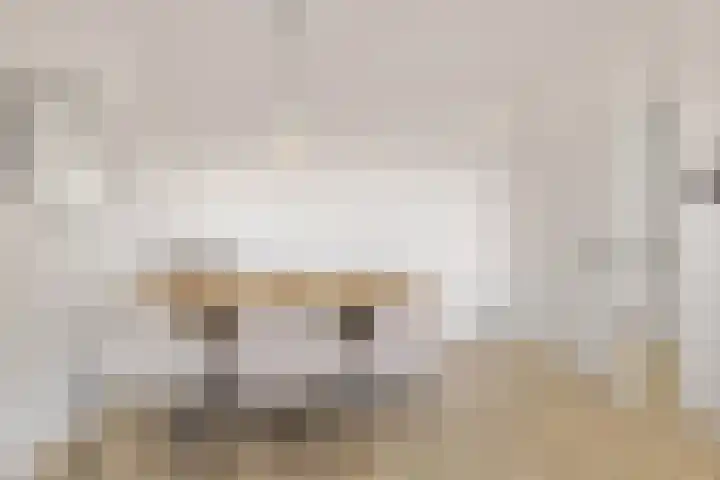 Phohistraat 78 Huizen thumbnail 7