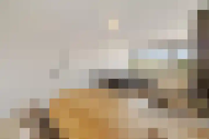 Phohistraat 78 Huizen thumbnail 9