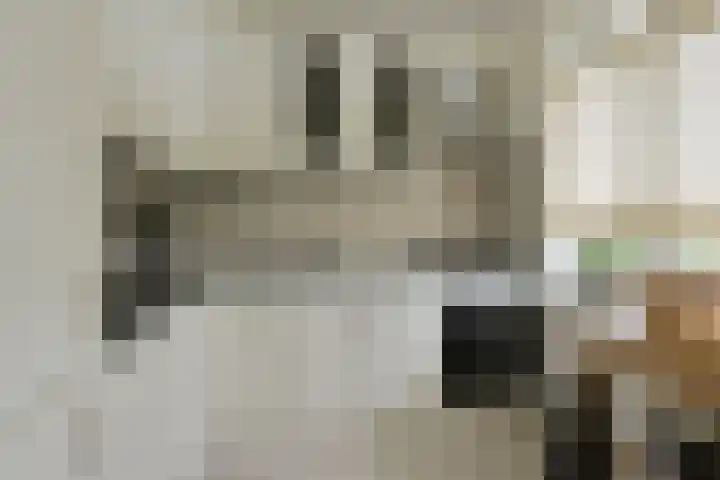 Phohistraat 80 Huizen thumbnail 8