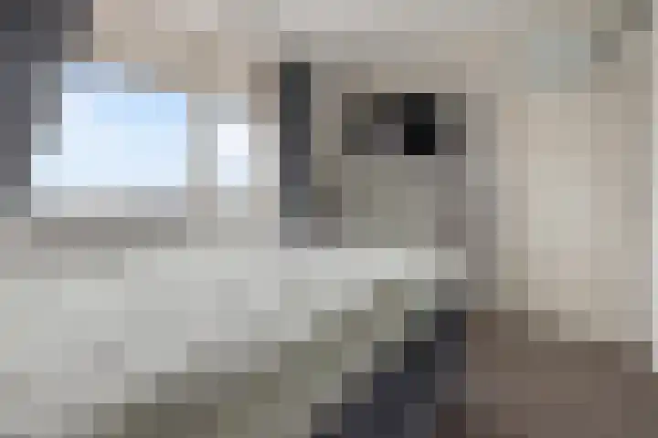 Phohistraat 94 Huizen thumbnail 10