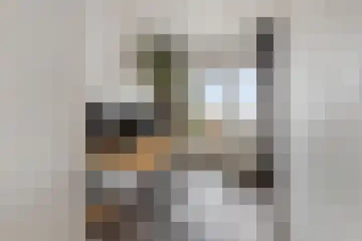 Phohistraat 94 Huizen thumbnail 12