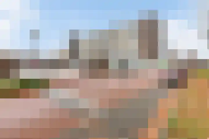 Phohistraat 94 Huizen thumbnail 18