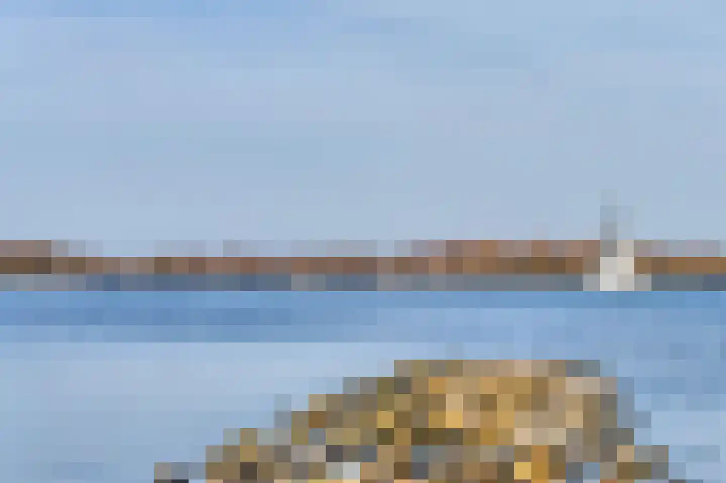 Pholas 12 Brouwershaven thumbnail 31