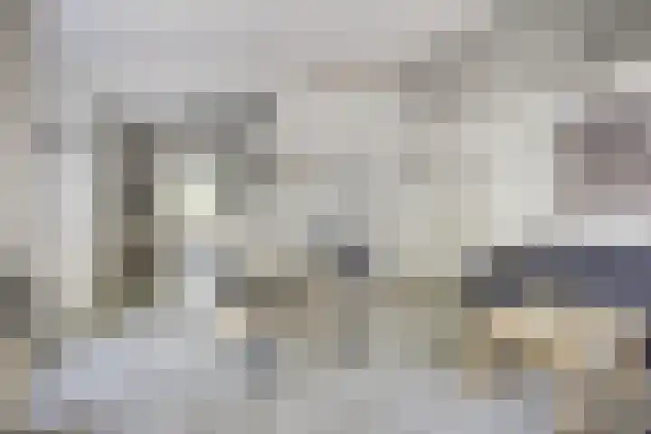 Pholas 5 Brouwershaven thumbnail 10