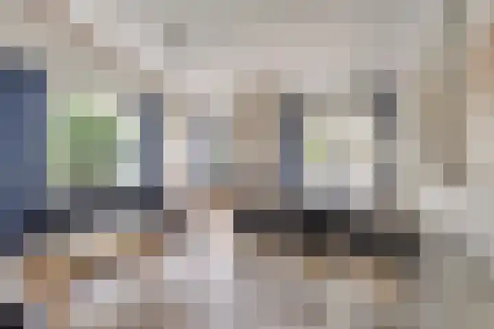 Pholas 5 Brouwershaven thumbnail 11