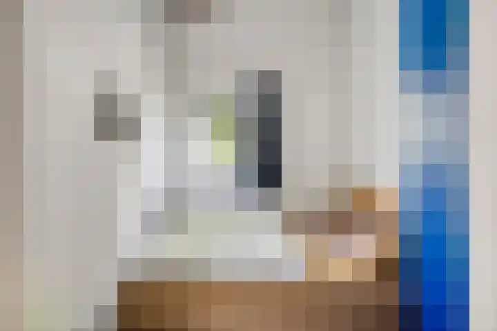 Pholas 5 Brouwershaven thumbnail 12