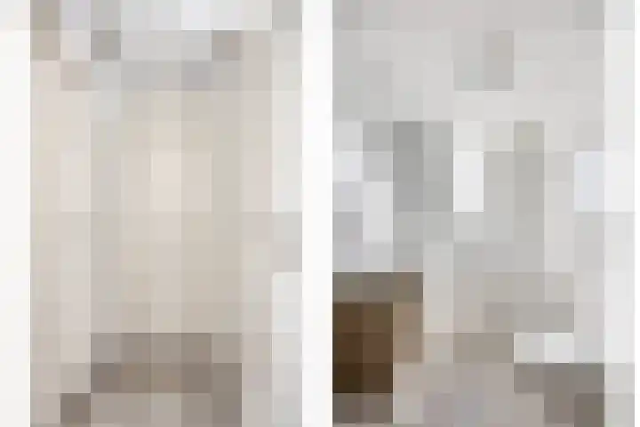 Pholas 5 Brouwershaven thumbnail 13