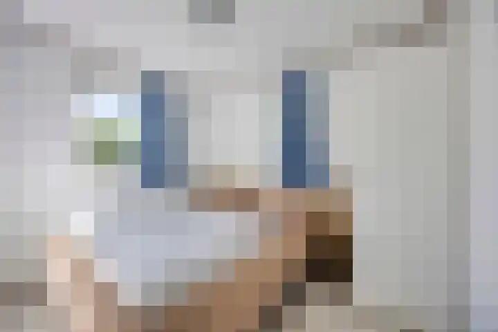 Pholas 5 Brouwershaven thumbnail 14