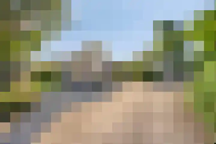 Pholas 5 Brouwershaven thumbnail 17
