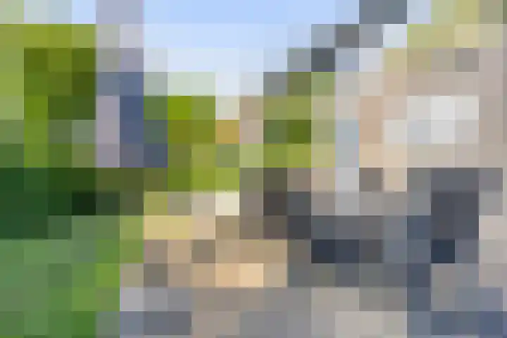 Pholas 5 Brouwershaven thumbnail 18