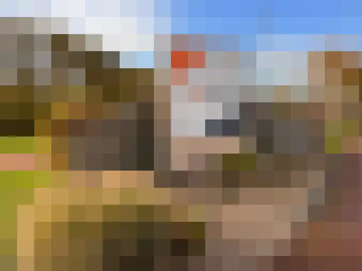 Pholas 5 Brouwershaven thumbnail 19