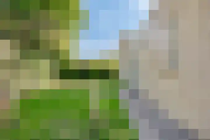 Pholas 5 Brouwershaven thumbnail 4