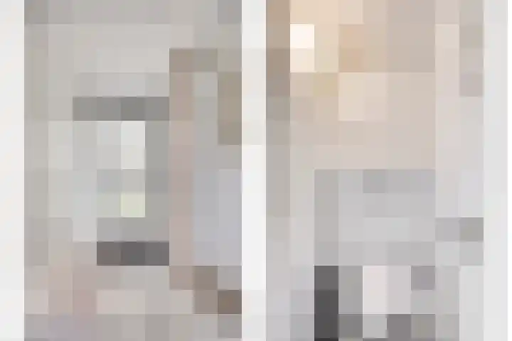 Pholas 5 Brouwershaven thumbnail 5