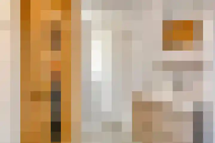 Pholas 5 Brouwershaven thumbnail 6