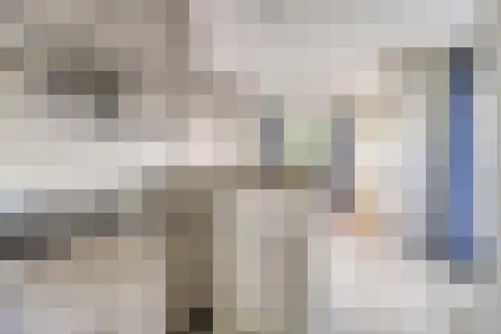 Pholas 5 Brouwershaven thumbnail 8