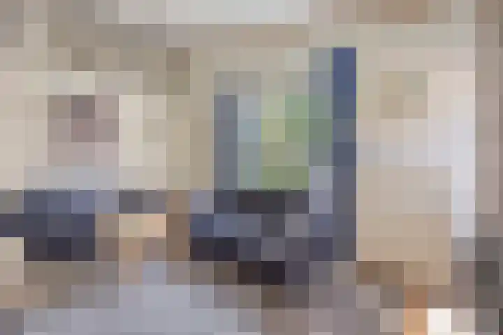 Pholas 5 Brouwershaven thumbnail 9