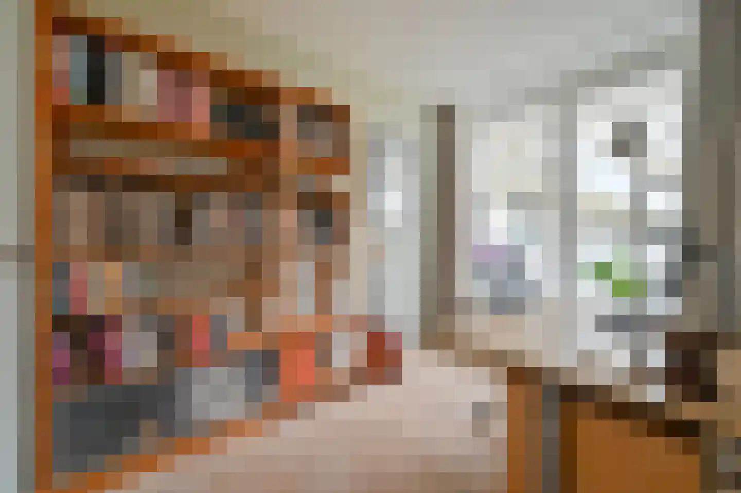 Pi Schefferstraat 28 Hilversum thumbnail 11