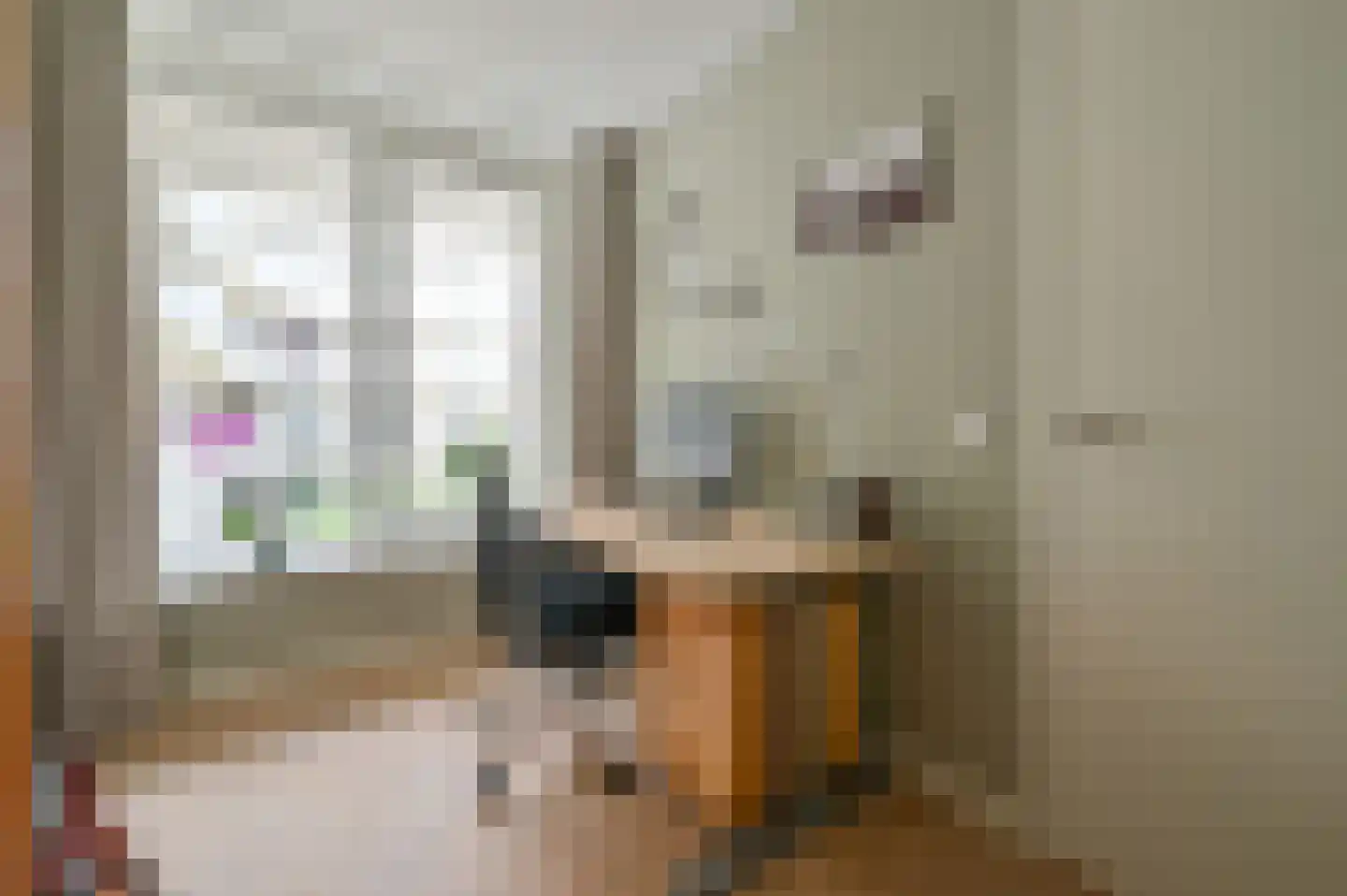Pi Schefferstraat 28 Hilversum thumbnail 12