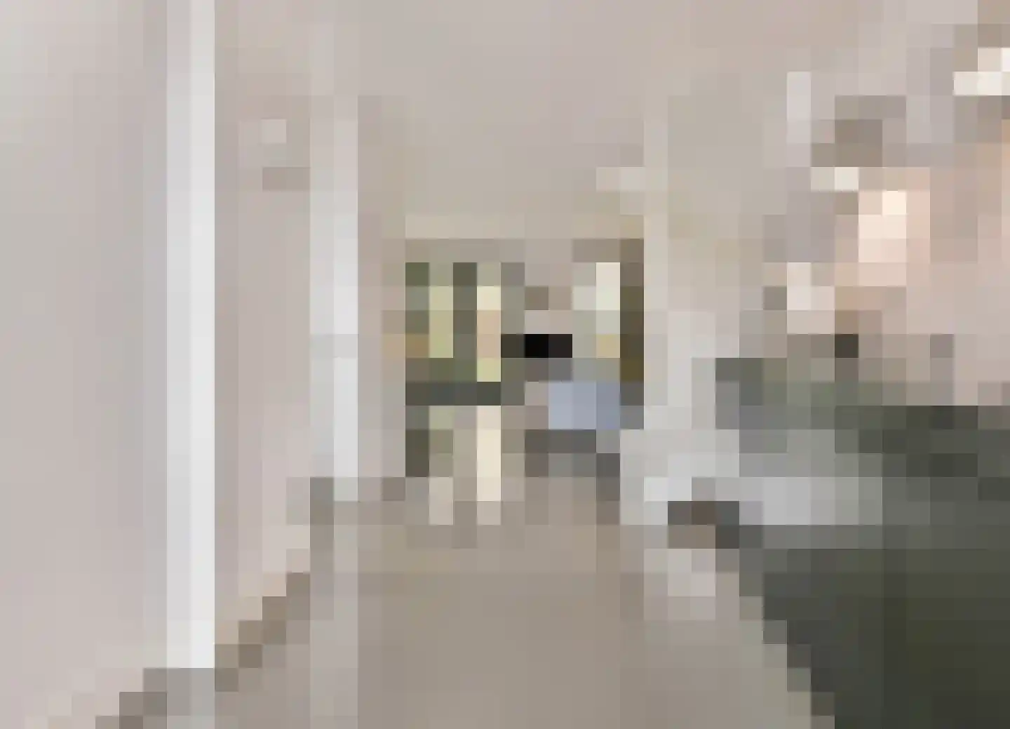 Piaamstraat 9 Amersfoort thumbnail 11