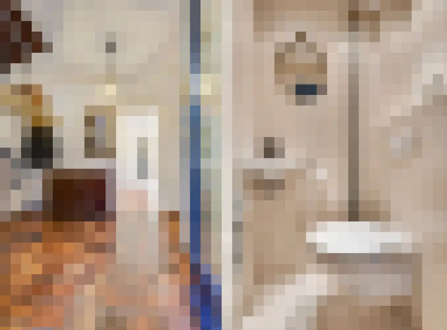 Piacenzastraat 10 Vught thumbnail 11