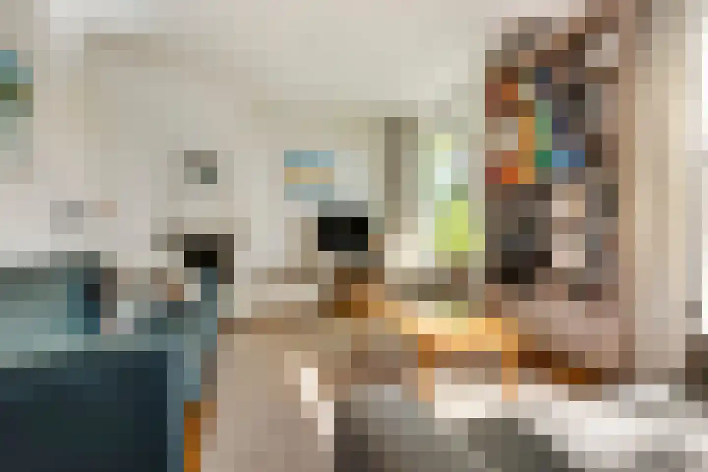 Piacenzastraat 10 Vught thumbnail 15