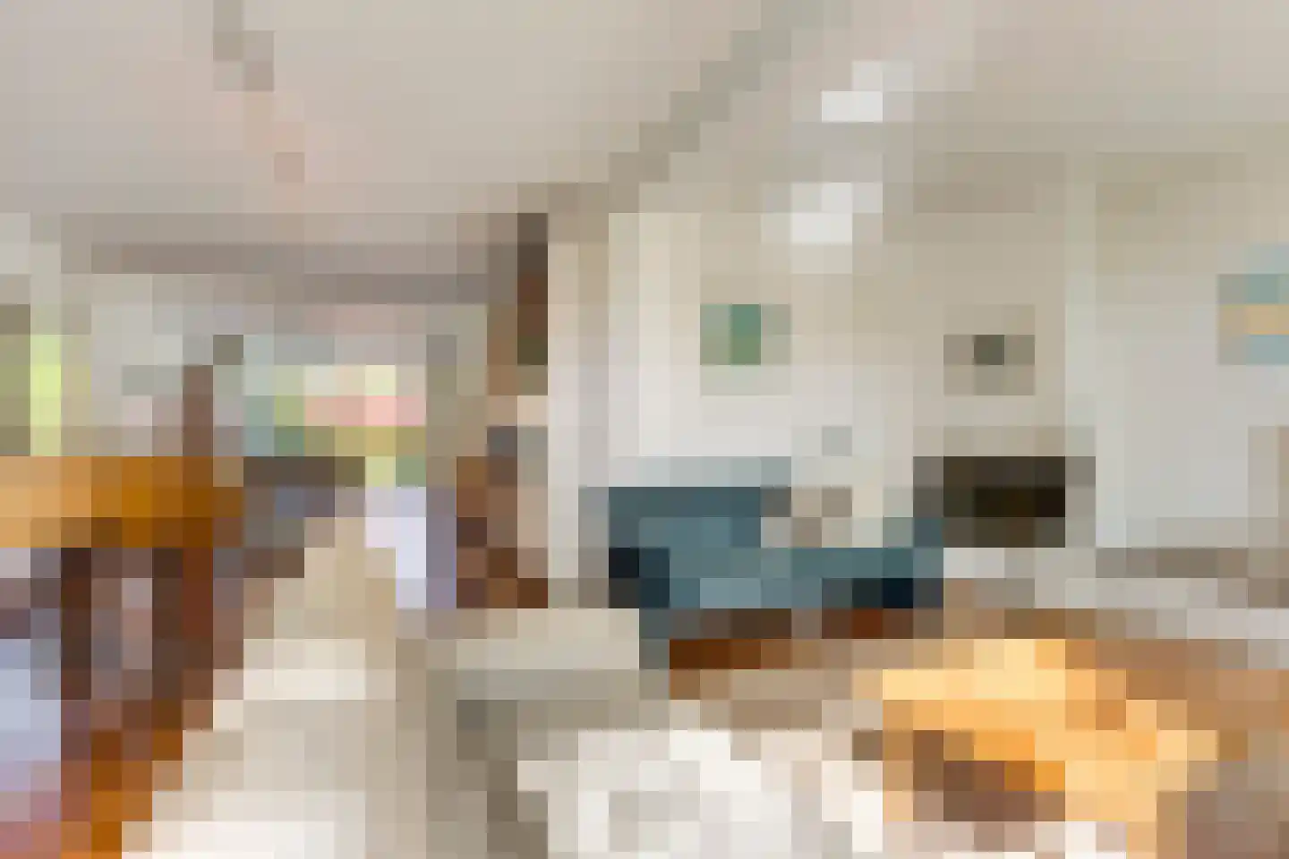 Piacenzastraat 10 Vught thumbnail 17