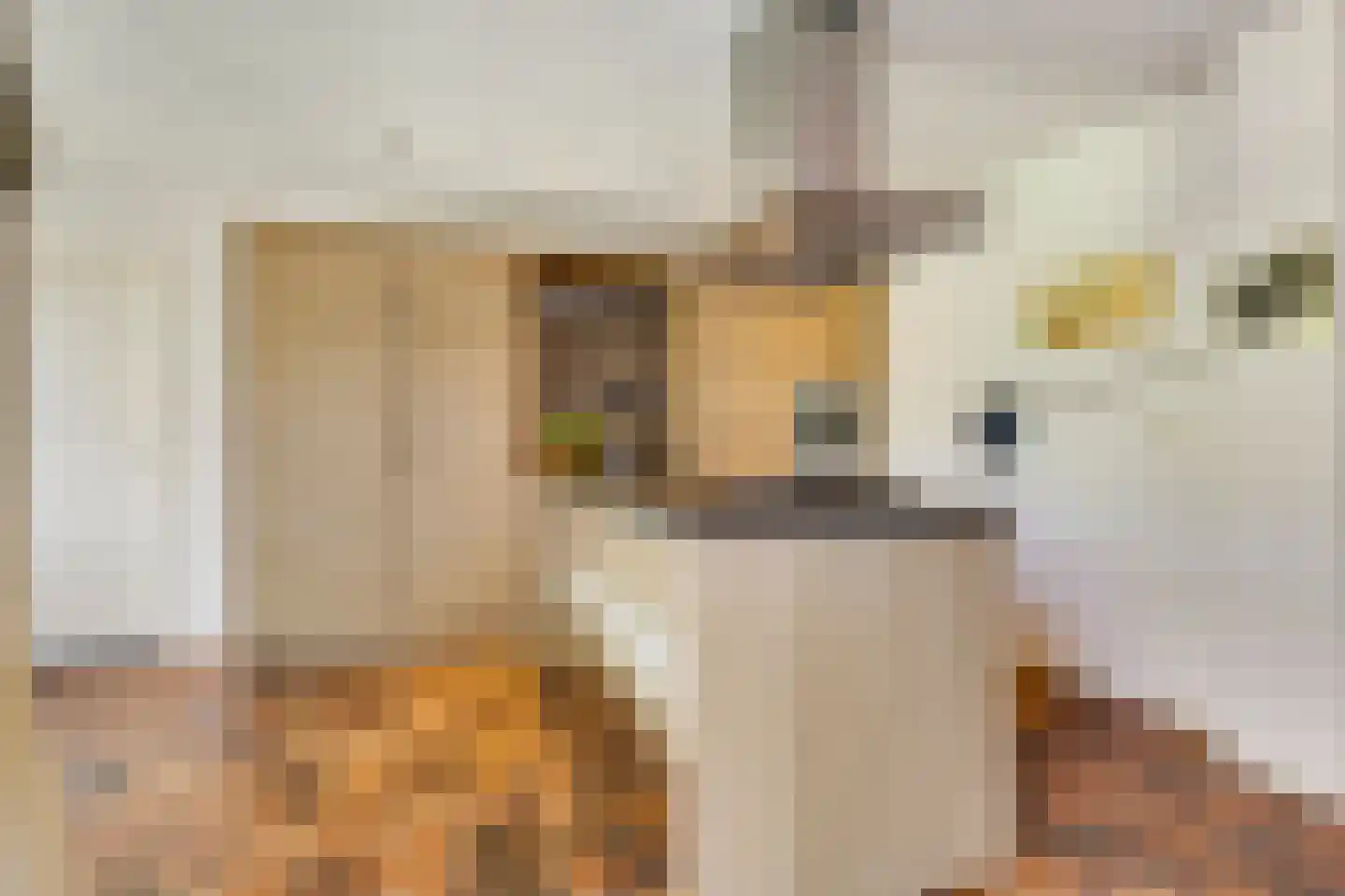 Piacenzastraat 10 Vught thumbnail 21