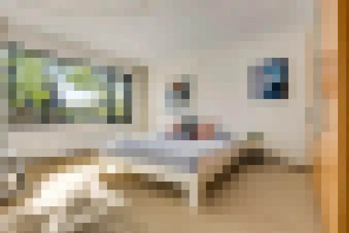 Piacenzastraat 10 Vught thumbnail 27