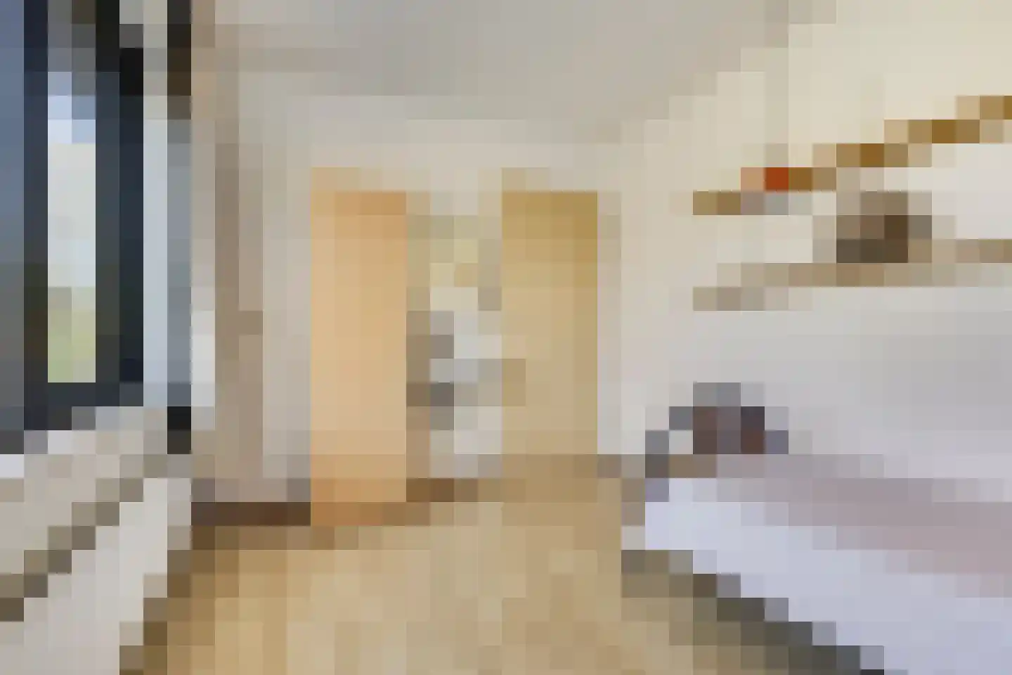 Piacenzastraat 10 Vught thumbnail 35