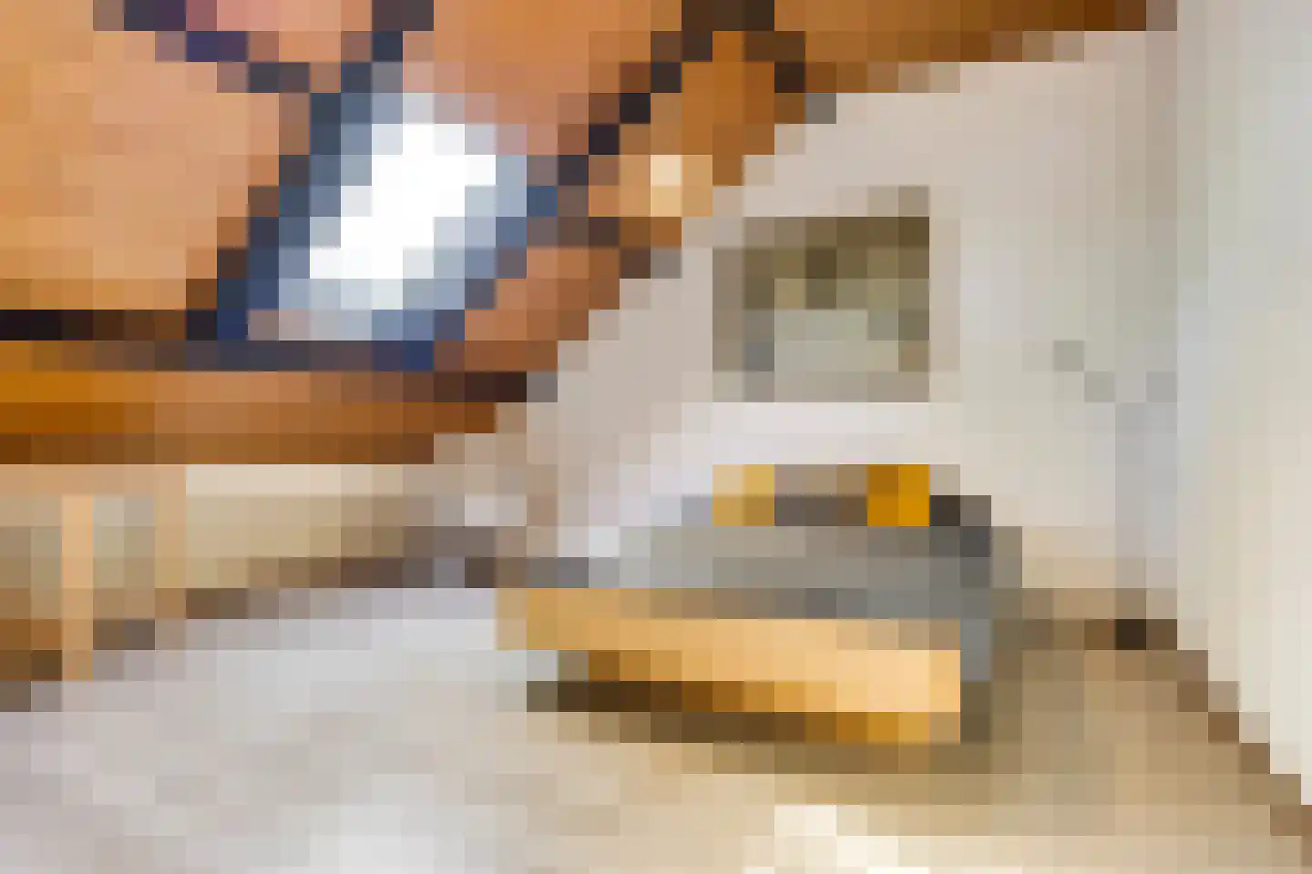 Piacenzastraat 10 Vught thumbnail 41