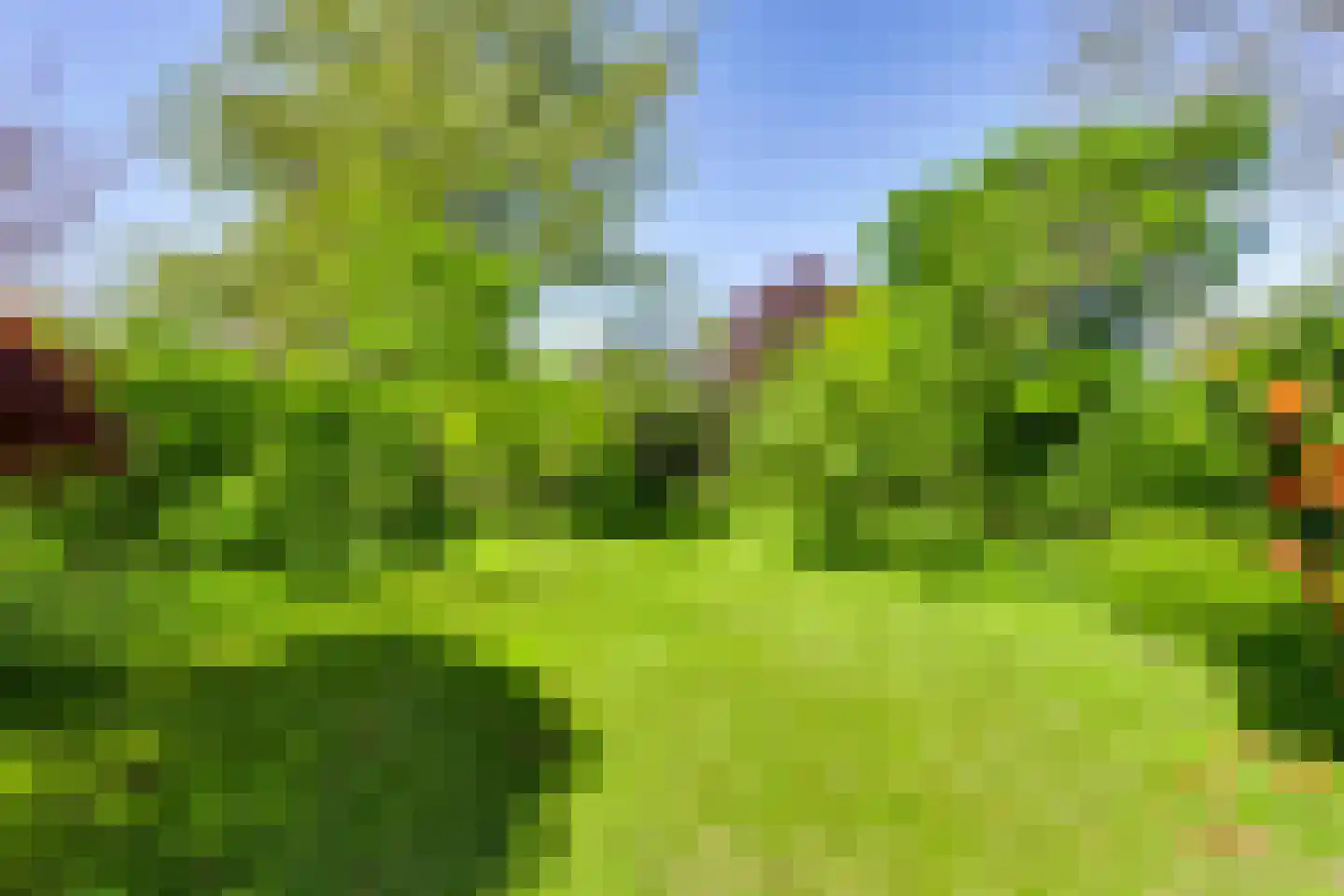 Piacenzastraat 10 Vught thumbnail 45