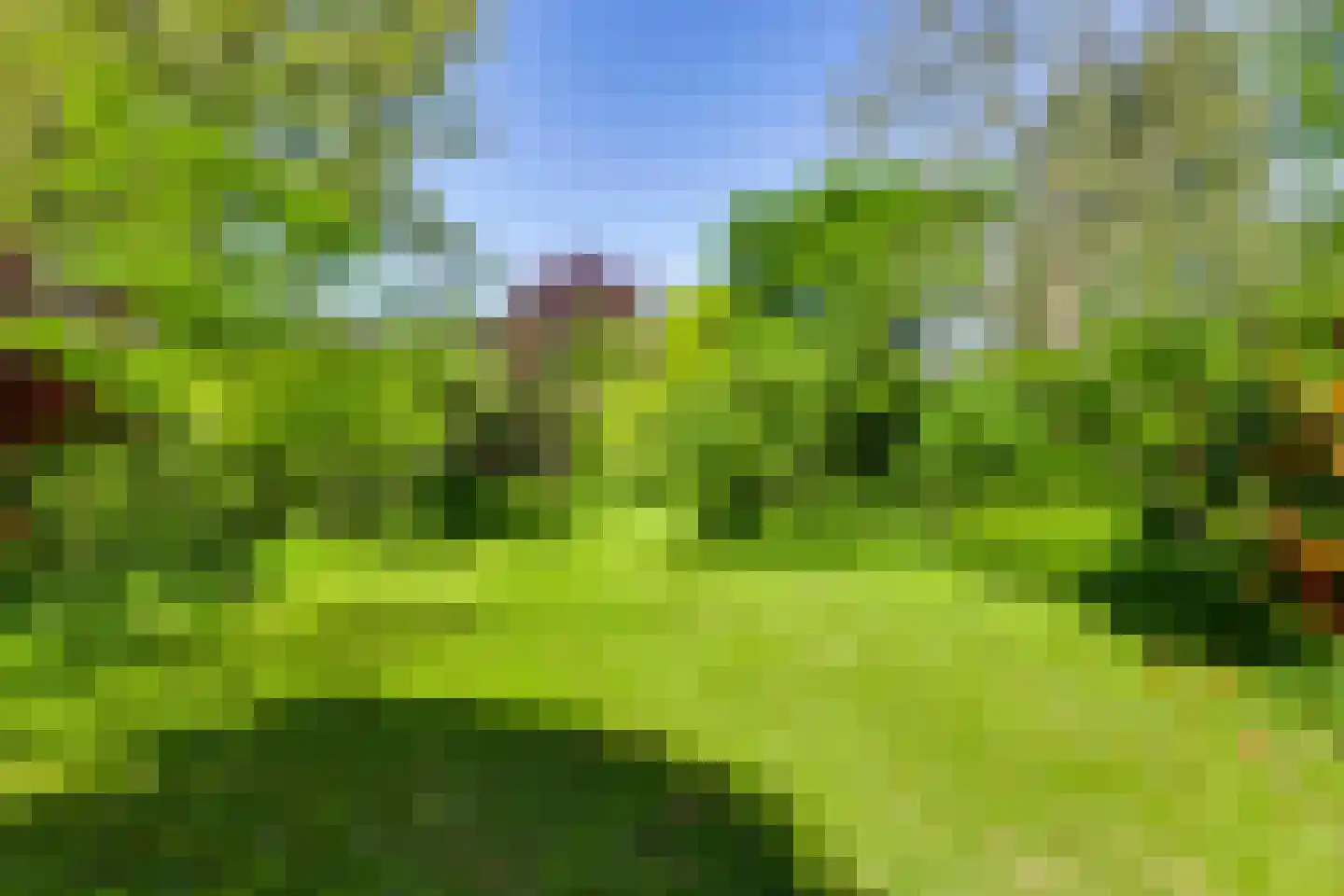 Piacenzastraat 10 Vught thumbnail 46