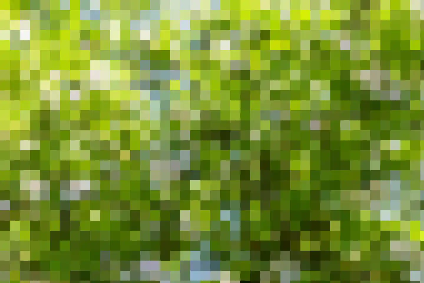 Piacenzastraat 10 Vught thumbnail 49