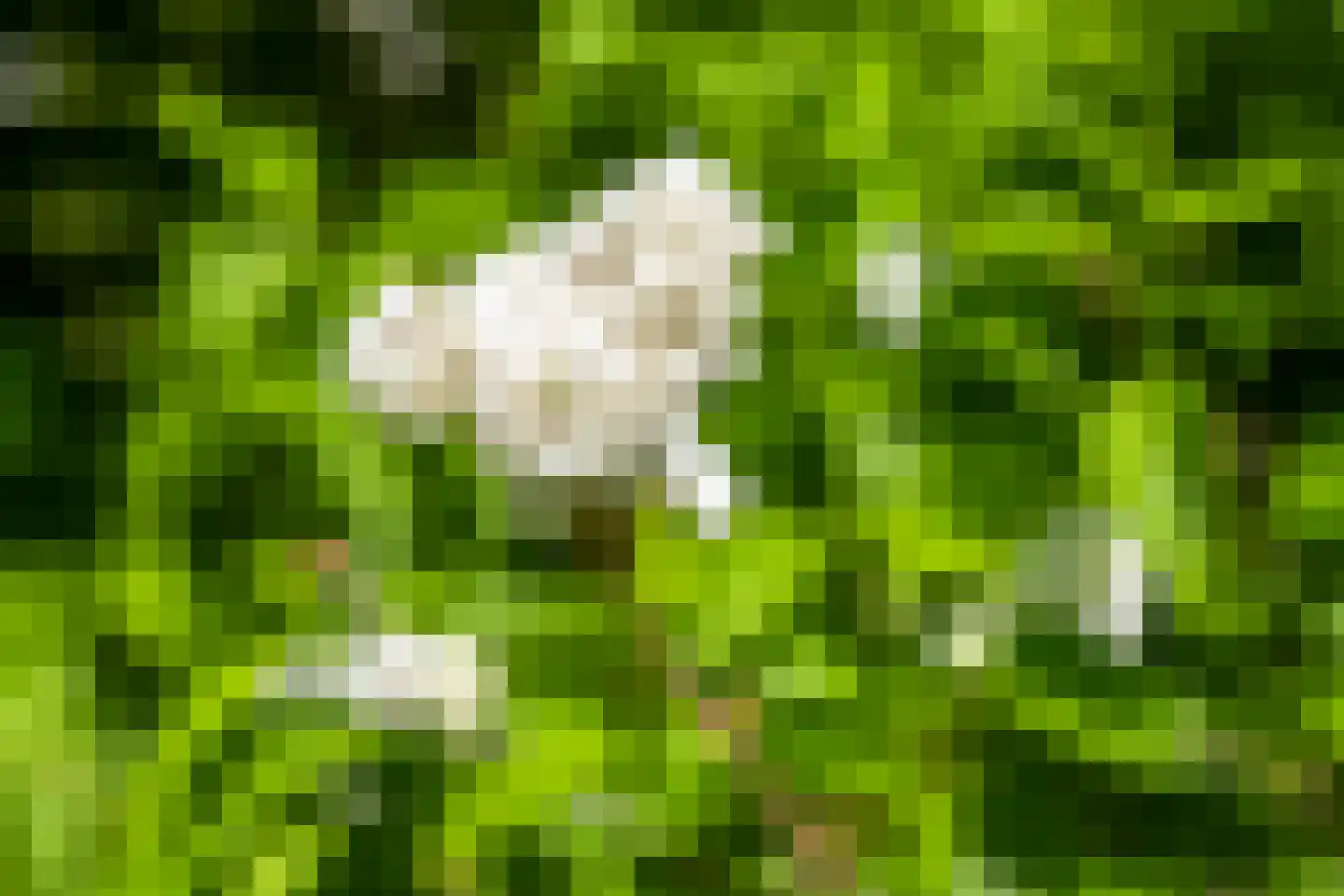 Piacenzastraat 10 Vught thumbnail 50