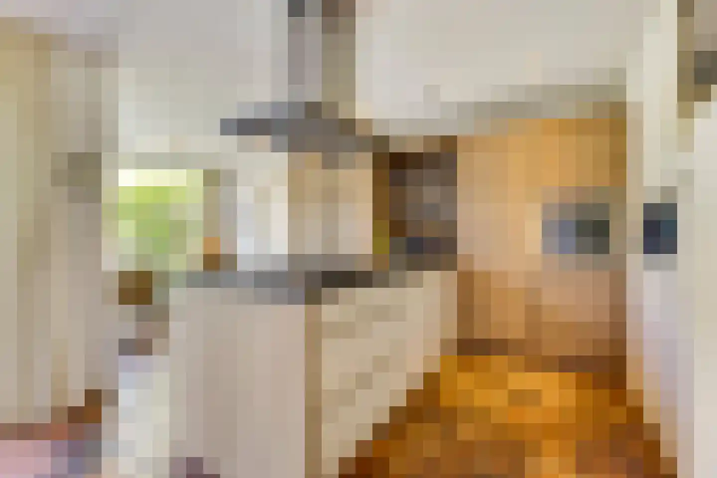 Piacenzastraat 10 Vught thumbnail 6