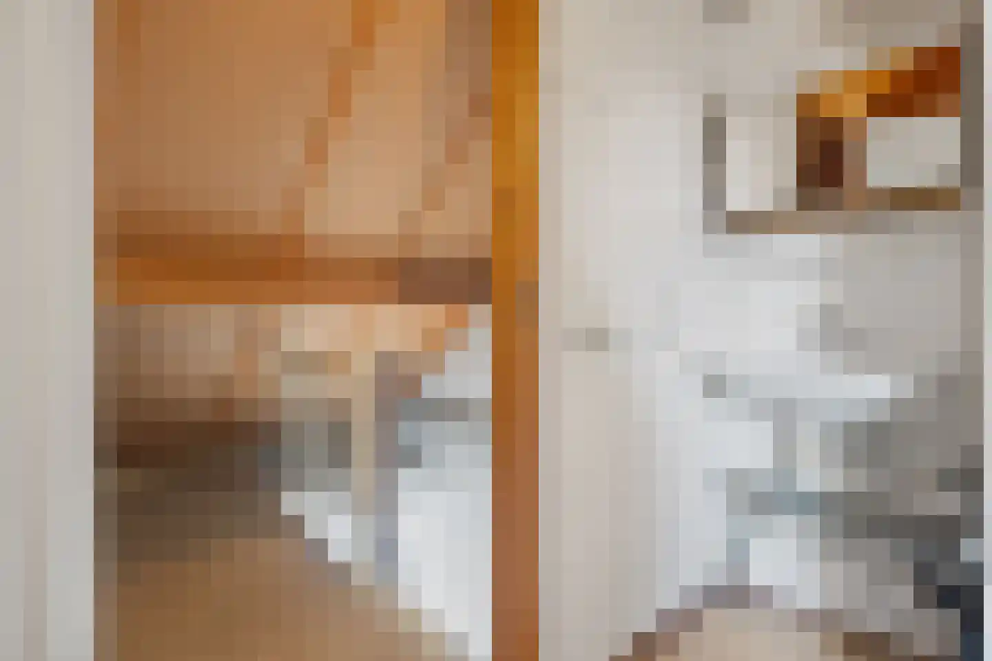 Piacenzastraat 38 Vught thumbnail 30