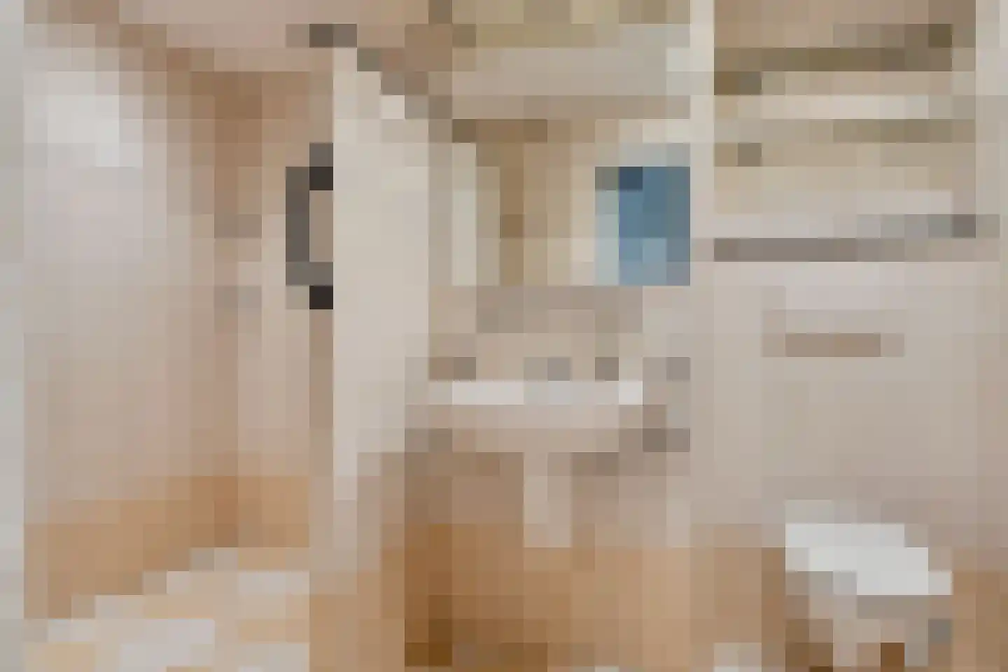 Piacenzastraat 44 Vught thumbnail 22