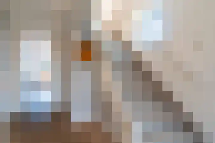 Piacenzastraat 5 Vught thumbnail 20