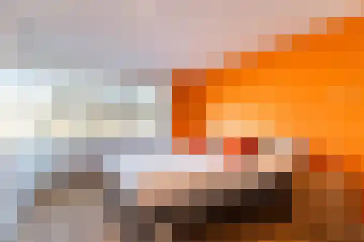 Piacenzastraat 5 Vught thumbnail 24