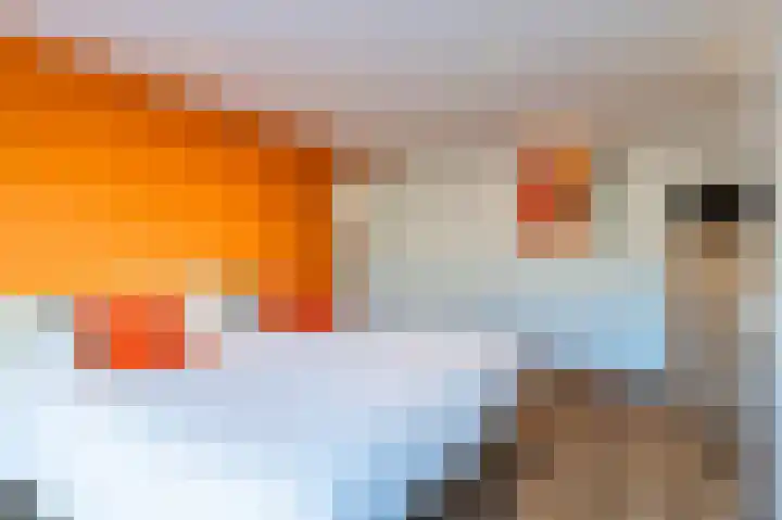 Piacenzastraat 5 Vught thumbnail 25