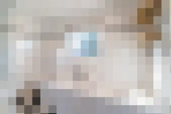 Piacenzastraat 5 Vught thumbnail 28