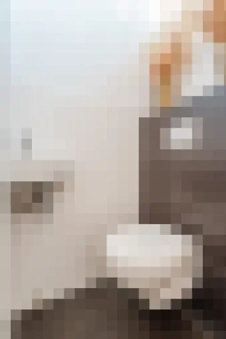 Piano 7 's-Hertogenbosch thumbnail 11