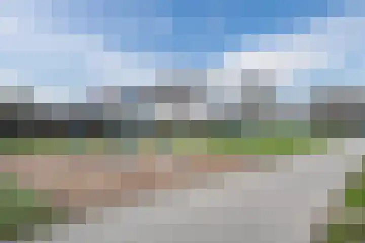 Piano 7 's-Hertogenbosch thumbnail 34