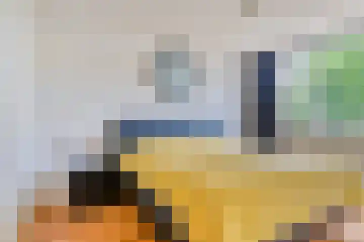 Pianohof 24 Etten-Leur thumbnail 12