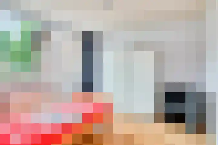 Pianohof 24 Etten-Leur thumbnail 14