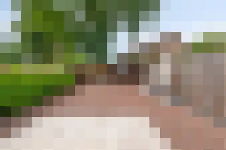 Pianohof 24 Etten-Leur thumbnail 24